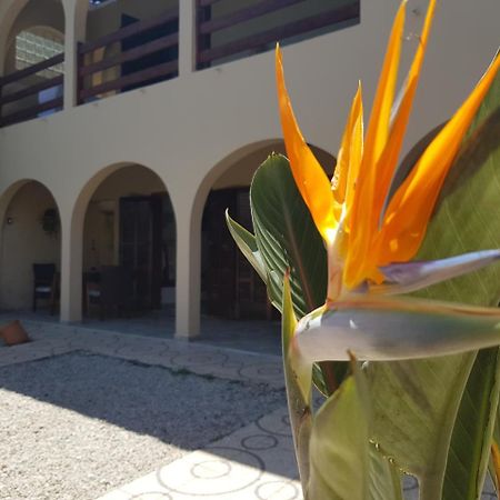 Santo Quintal Hostel Ubatuba Εξωτερικό φωτογραφία